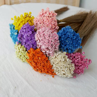 Nouvel arrivage : Populaire fleur séchée brésilienne Starflower, petite marguerite pour couronnes, matériaux de décoration DIY pour la maison