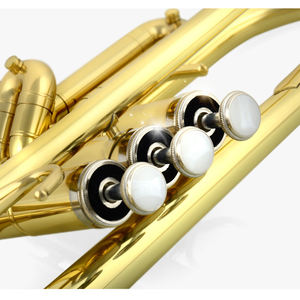 Trompeta <span class=keywords><strong>de</strong></span> Rendimiento en Si Bemol para Principiantes Set <span class=keywords><strong>de</strong></span> <span class=keywords><strong>Instrumentos</strong></span> <span class=keywords><strong>Musicales</strong></span> para Banda Instrumento <span class=keywords><strong>de</strong></span> <span class=keywords><strong>Viento</strong></span> <span class=keywords><strong>de</strong></span> Metal Base Laca Dorada - Product Image 2