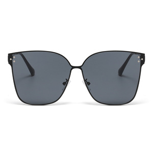 Jamie 2449 Large Frame Sunglasses Metal Frame UV400 Protection Unisex Travel Style - Product Image 5