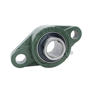 Boring 25Mm 25.4Mm Chroom Stalen Lagers 2 Bouten Flens Gemonteerd Kussen Blok Lagers UC205 UC205-16 FL205 UCFL205 UCFL205-16 - Product Image 5