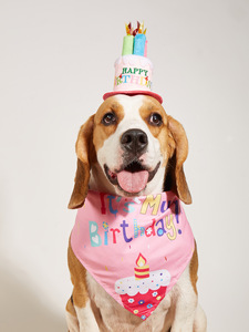 Ensemble Chapeau et Bandana Personnalisés en Polyester Imprimé Chien Mignon pour Anniversaire – Accessoires de Déguisement pour Animaux de Compagnie - Product Image 6