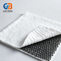 Géonetz 3D en PEHD, couche de drainage composite imperméable pour les décharges, les routes et l'ingénierie civile