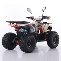 Tao Motor 2024 nouveau ATV 125 pas cher chinois automatique chaîne entraînement ferme ATV 125cc ATV