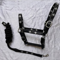 Bridon de cheval en cuir noir de qualité supérieure avec design personnalisé et rubans, accessoires pour chevaux