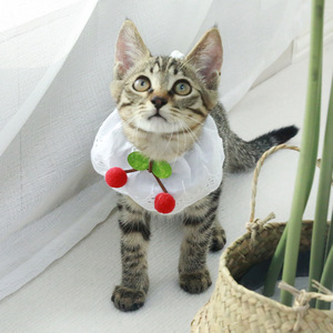 Pañuelo de encaje a cuadros con estampado de cerezas para gatos y perros, accesorios para el cuello de mascotas, venta al por mayor - Product Image 3