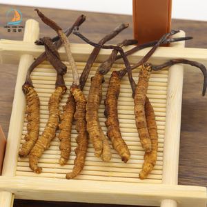 Aliments sains Cordyceps Sinensis entier séché sauvage riche en acides aminés 250 g Cordyceps Militaris sec à vendre - Product Image 3