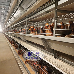 Gabbie Automatiche Galvanizzate per Allevamento di Polli Tipo H per Galline Ovaiole, Batteria per Allevamento Avicolo, Gabbia Metallica per Animali e Uova di Gallina - Product Image 2