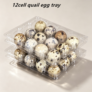 Barquettes à œufs <span class=keywords><strong>en</strong></span> plastique transparent, capacité pour œufs de caille, design empilable pour un stockage et un transport sécurisés pour les fermes, les épiceries et l'usage domestique - Product Image 4