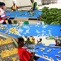Machine de fabrication de chips de banane fraîche entièrement automatique de haute qualité à petite échelle, ligne de production de chips de plantain