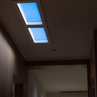 Plafonnier bleu marine lumière du soleil décoration salle de bain lucarne Faux soleil dynamique naturel bleu ciel Led panneau de simulateur de fenêtre