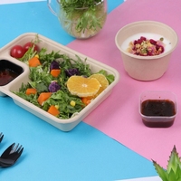 Boîte à salade jetable robuste à 2 compartiments en bagasse de canne à sucre biodégradable et compatible micro-ondes, pour service de repas combinés