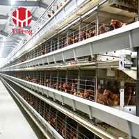 Nouveau système de cages automatiques Yifeng de type H pour poulets pondeurs, capacité 10000, 20000, 50000 oiseaux, avec abreuvoir à tétine, alimentation et collecte d'œufs, faible coût
