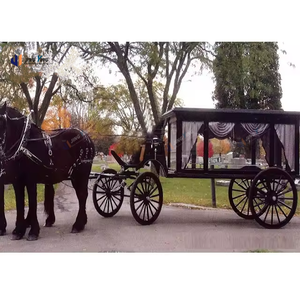 Coche fúnebre americano de lujo 2024, acero blanco y cuero con columna romana eléctrica, <span class=keywords><strong>transporte</strong></span> especial - Product Image 5