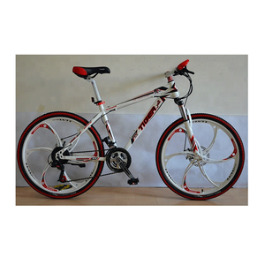 Bicicletta MTB di Alta Qualità a 21 Velocità, Bici da Montagna per Adolescenti - Product Image 1