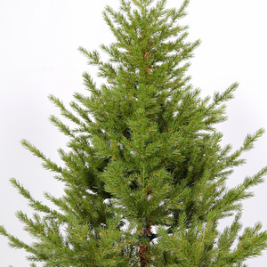 Sapin de Noël en PET toutes tailles, sapin artificiel réaliste en sapin de pin avec aiguilles denses pour la décoration d'hôtels et de centres commerciaux, décorations de Noël - Product Image 5