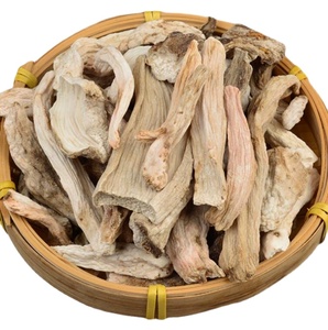 Yamaimo Dioscorea <span class=keywords><strong>japonica</strong></span> racine naturelle séchée rhizome d'igname japonaise pour herbe - Product Image 1