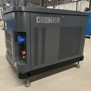 5kw 6kw Air Cooling Silent Natural Gas Generator 220V LPG 7kva Dual Fuel Gas Generation Equipment