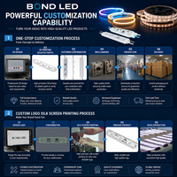 Module LED AC BOND CE UL 110V/220V IP67 2W pour éclairage extérieur et intérieur, enseignes, panneaux lumineux, publicité