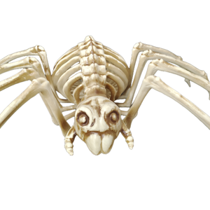 Décorations d'Halloween : Accessoires d'araignées effrayantes, squelettes d'araignées, pour la Fête des Morts, maisons hantées et aménagement d'hôtels - Product Image 3