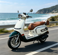 Vélo tout-terrain 20 pouces 60V 351-500W avec suspension intégrale pour plage, neige et tout-terrain, vélo de croisière pour adultes avec assistance électrique