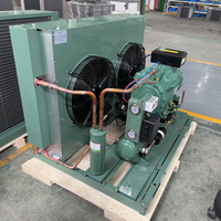 RUIXUE Factory 2hp 3Hp 5hp 6hp 10Hp Compresor refrigerado por aire Unidad de condensación para sistema de refrigeración Refrigeración