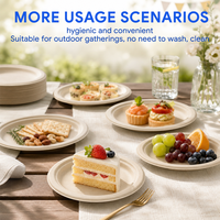 Assiettes jetables en bagasse de canne à sucre de 6 pouces sans PFAS, 100 % compostables, biodégradables, écologiques, compatibles micro-ondes, pour fêtes, en vrac, OEM