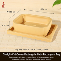 Pot Bunga Resin Gaya Cina Kreatif Bentuk Persegi untuk Anggrek, Sukulen & Kaktus dengan Desain Pengatur Akar, Cocok untuk Balkon & Meja, 100g