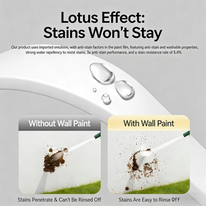 Revêtement liquide <span class=keywords><strong>transparent</strong></span> pour murs extérieurs, résistant aux UV, anti-salissure, imperméable et brillant pour façades de bâtiments, peinture effet pierre. - Product Image 3