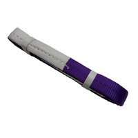 2 Ton kaldırma Sling ağır Polyester Web Sling vinç/vinç için 2 T yük kapasitesi kemer kayışı TUV CE GS ile kaldırma için