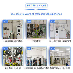 Virola de acero inoxidable 316, accesorio de tubería de rama femenina - Product Image 2