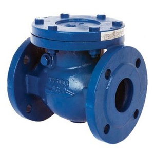 Válvula de Retención de Acero Inoxidable de Presión Normal Personalizable, Conexión de Brida de Alta Resistencia DN40-600 para Sistemas de Riego - Product Image 1