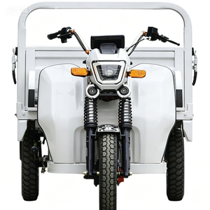Light Body Electric Tricycle Easy Operation Safe Driving 100-300kg Load Trike - Product Image 1