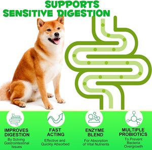 Probióticos para Perros con Prebióticos, Marca Privada OEM ODM, Promueve un Microbioma Intestinal Equilibrado, Refuerza la Salud Inmunológica, Masticables Blandos - Product Image 3