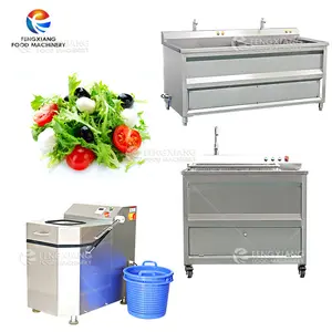 Vegetable Lettuce Spinach bubble washing machine high productivity vegetable & fruit dewaterer for fruit cleaning process