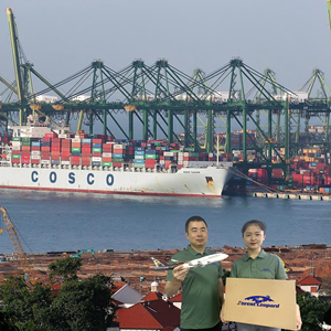 Transporte barato DDP FBA puerta a puerta servicio de envío de entrega de China a Reino Unido EE. UU. Francia Bélgica Australia - Product Image 5