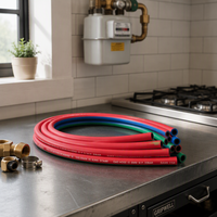 Tuyau de gaz naturel flexible tressé en gros avec raccords pivotants pour camping-car, caravane et appareils de cuisson – Ensemble complet
