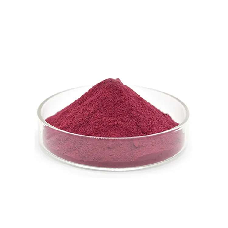 Raíz de remolacha roja orgánica soluble en agua 20:1 polvo de extracto de jugo de remolacha