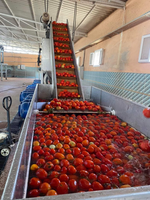 500 Kg/u Automatische Tomaten Saus Maken Machines Tomatenpuree En Ketchup Productielijn