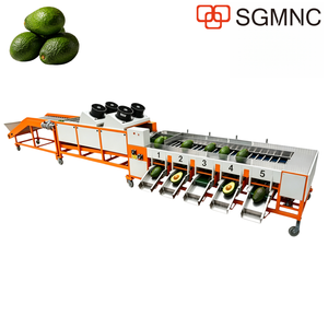 Ligne de production d'emballage d'avocats Hass de 2000 kg/heure, 2 tonnes/heure pour le Mexique, l'Afrique, la Zambie, la <span class=keywords><strong>Tanzanie</strong></span> - Product Image 1