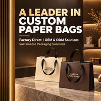 Sacs en papier kraft personnalisés en gros avec logo imprimé, en papier kraft recyclé pour vêtements et chaussures, impression offset avec traitement de surface