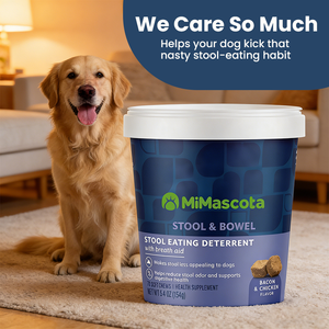 Pet Health Care &amp; Supplements, Private Label Coprophagia <strong>Treatment</strong> Chews - Wholesale Pet Supplement to Stop <strong>Dogs</strong> Eating Poop - Product Image 5