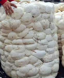 Suministro Directo de Fábrica: Caucho Natural en Trozos de Grado Estándar de Marca Vietnamita, Precio Mayorista, Material de Caucho Crudo para Neumáticos - Product Image 3