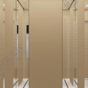 Ascenseur de traction de conception de cabine de décoration de couleur or <span class=keywords><strong>champagne</strong></span> produit par l'usine originale de haute qualité - Product Image 1