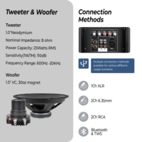 Système audio professionnel Accuracy Pro Audio PML15AOE, enceinte active portable de 15 pouces, 100 W, en plastique, classe AB
