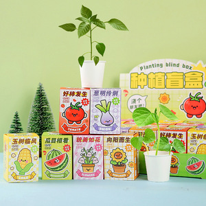 Caja Sorpresa Creativa de Plantas en Maceta, Mini Adornos de Escritorio para Niños, Observación de Frutas y Flores en Jardín de Infancia, 24 Piezas - Product Image 2