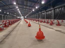 Kiểm Soát Đổ Gia Cầm Farming Pakistan/Kiểm Soát Đổ Gia Cầm Trong Pakistan - Product Image 3