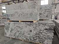TY Shandong Granit Gris Blanc Naturel Écologique Moderne, Petite Dalle Brossée, Solution Complète pour Plans de Travail de Cuisine de Villa et de Parc