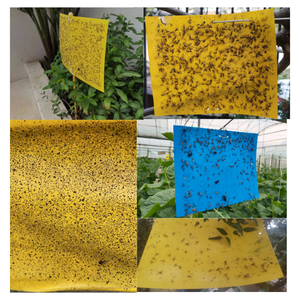 Moniteur adhésif pour insectes de 20*10 cm, autocollants imperméables pour <span class=keywords><strong>mites</strong></span> <span class=keywords><strong>volantes</strong></span>, pour serres/serres de semis - Product Image 5