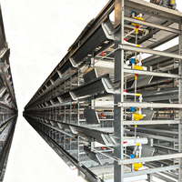 Système de cages automatiques en H pour poulets de basse-cour destiné aux fermes avicoles commerciales, avec équipement d'alimentation, d'abreuvement et de nettoyage du fumier