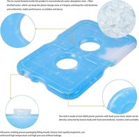 Compresseur de haute qualité Icebrick HDPE matériel réutilisable isolé livraison de nourriture sac à dos refroidisseur avec Gel dur sac de glace pour frais